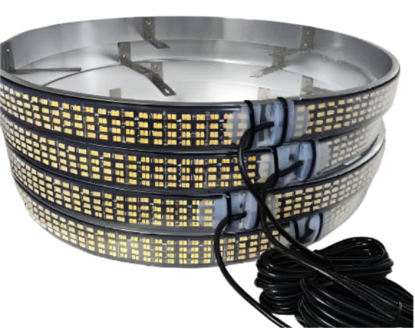 Wheel Lights